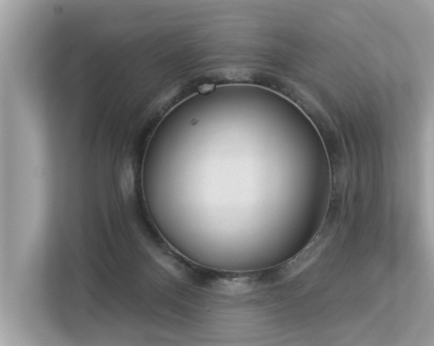 X0000112980120200908271151