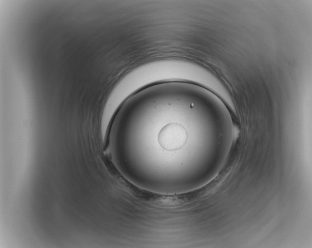 X0000112980121200908271151