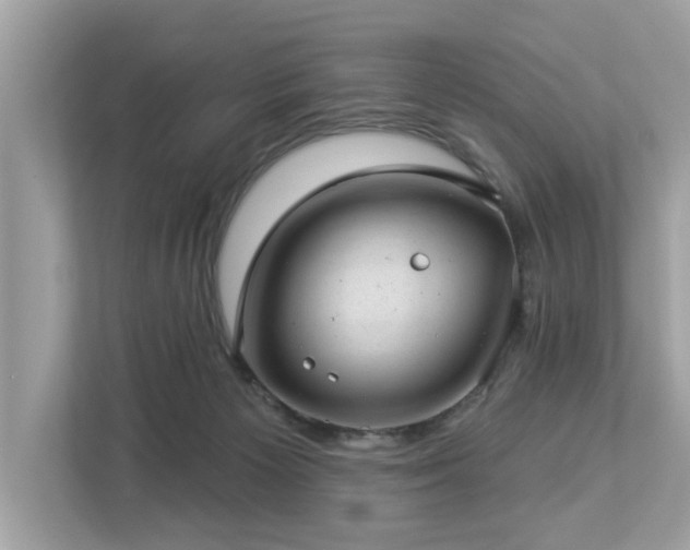 X0000112980125200908271151