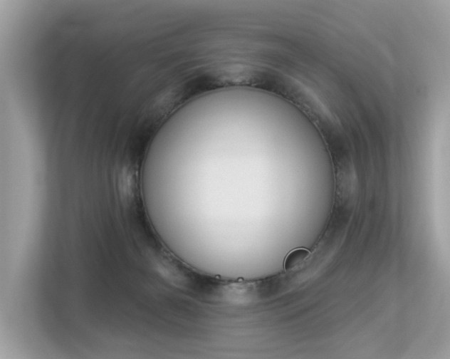 X0000112980126200908271151
