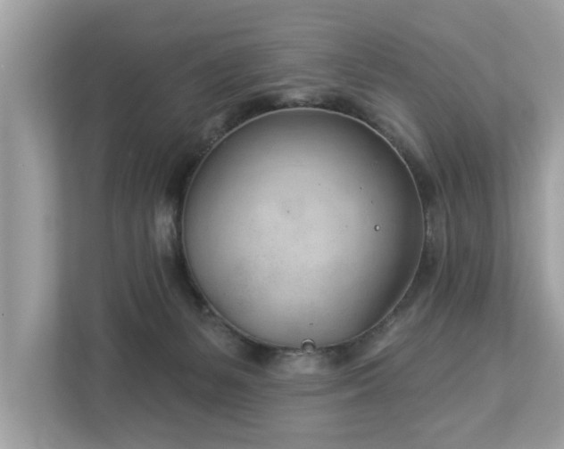 X0000112980127200908271151