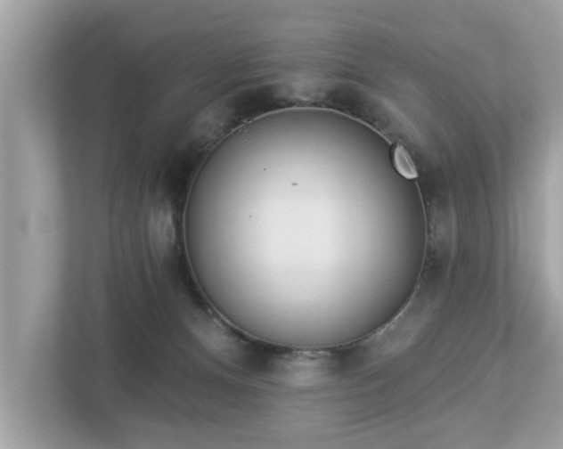 X0000112980128200908271151