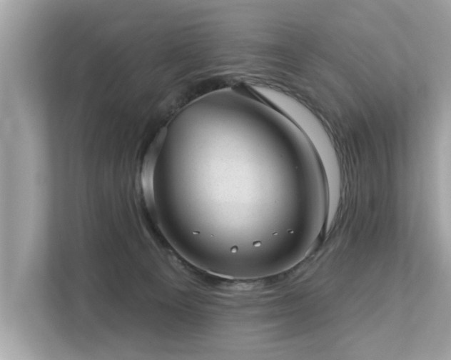X0000112980129200908271151