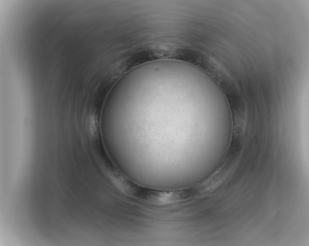 X0000112980130200908271151