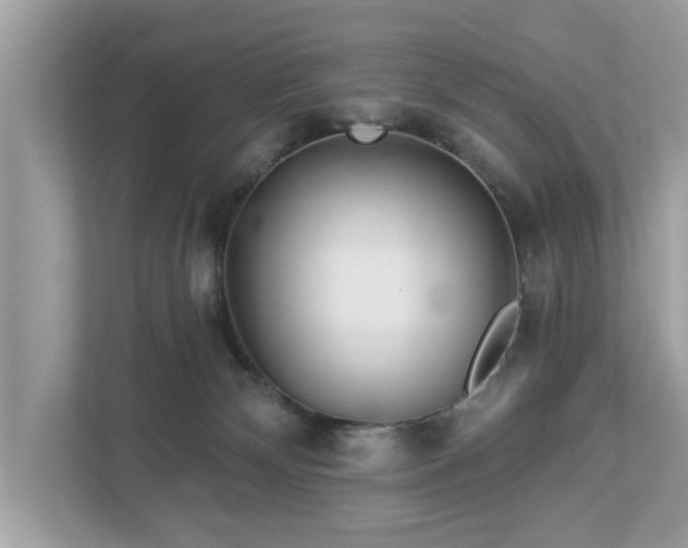 X0000112980132200908271151