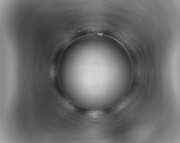 X0000112980135200908271151