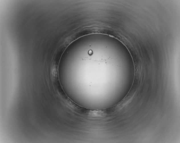 X0000112980137200908271151