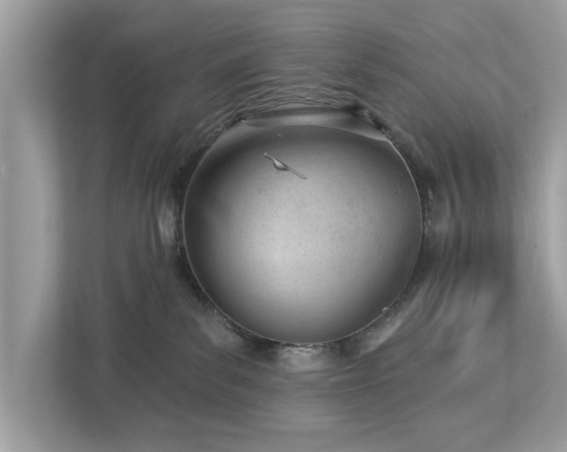 X0000112980139200908271151