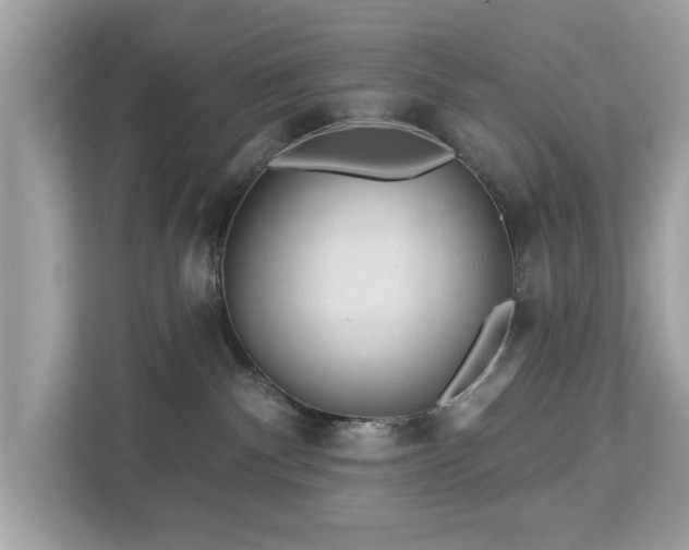 X0000112980140200908271151