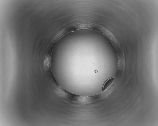 X0000112980142200908271151