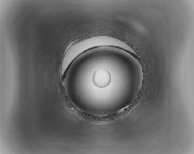 X0000112980144200908271150