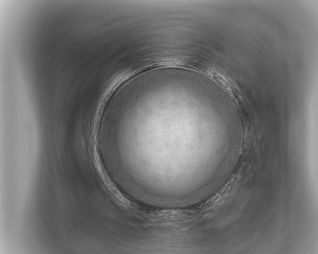 X0000112980145200908271150
