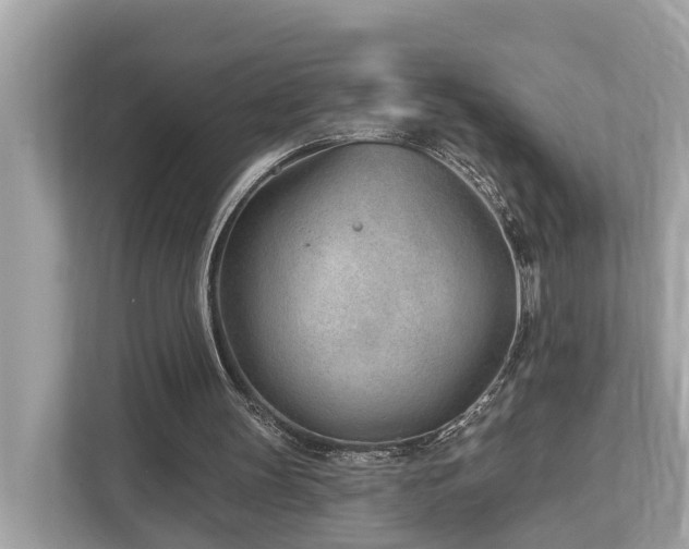 X0000112980147200908271150