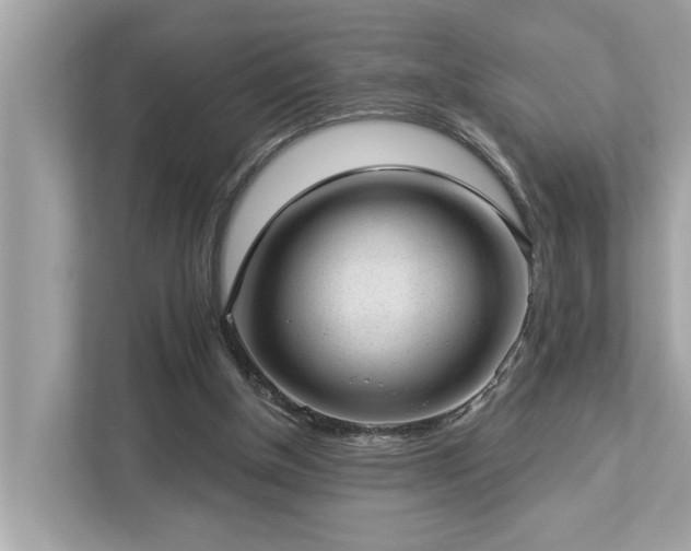 X0000112980154200908271150