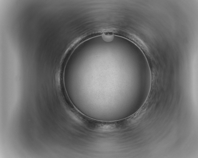X0000112980155200908271150