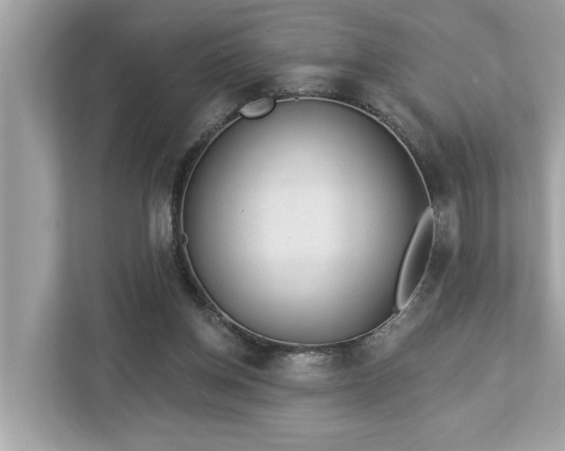 X0000112980158200908271150