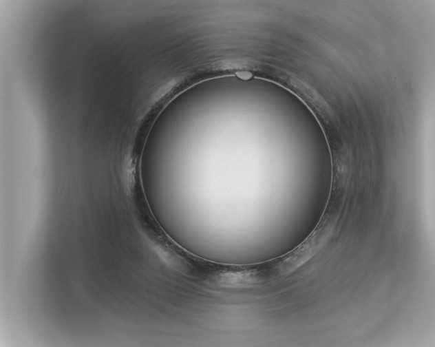 X0000112980160200908271150