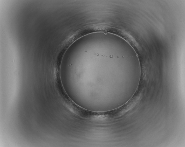 X0000112980161200908271150