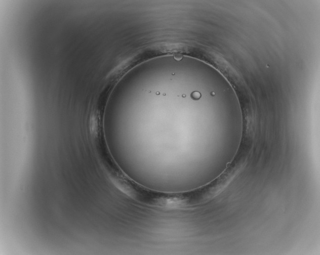 X0000112980165200908271150