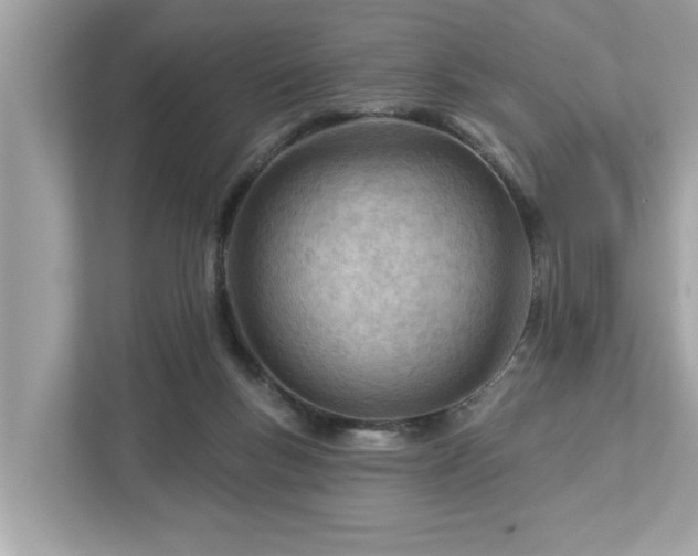 X0000112980167200908271150