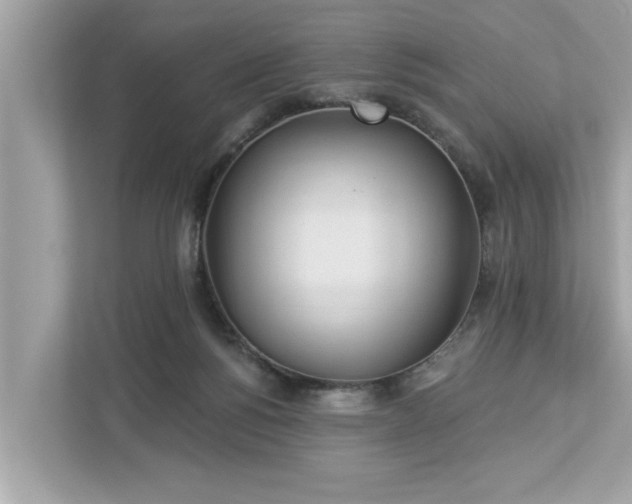 X0000112980168200908271150
