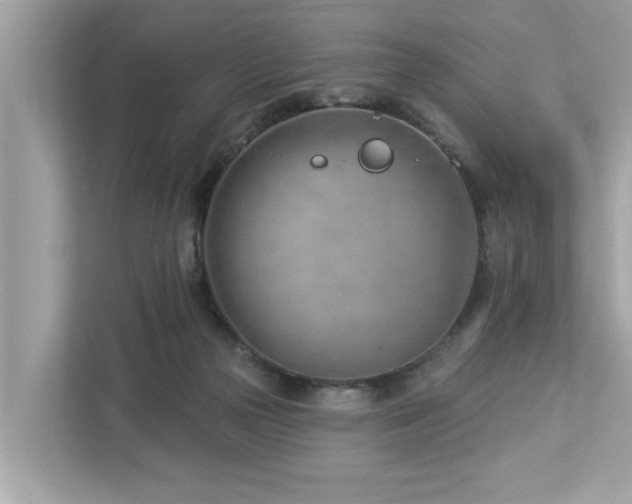 X0000112980169200908271150
