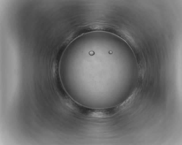 X0000112980171200908271150