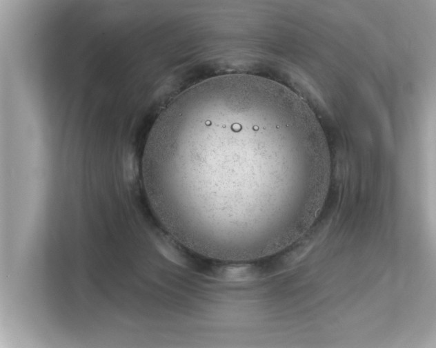 X0000112980173200908271150