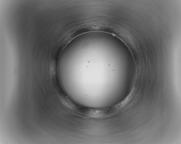 X0000112980174200908271150