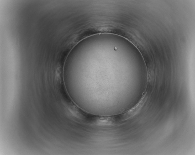 X0000112980175200908271150