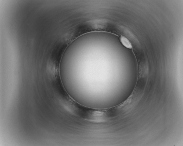 X0000112980176200908271150