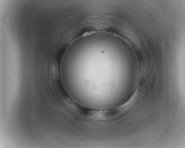 X0000112980182200908271150