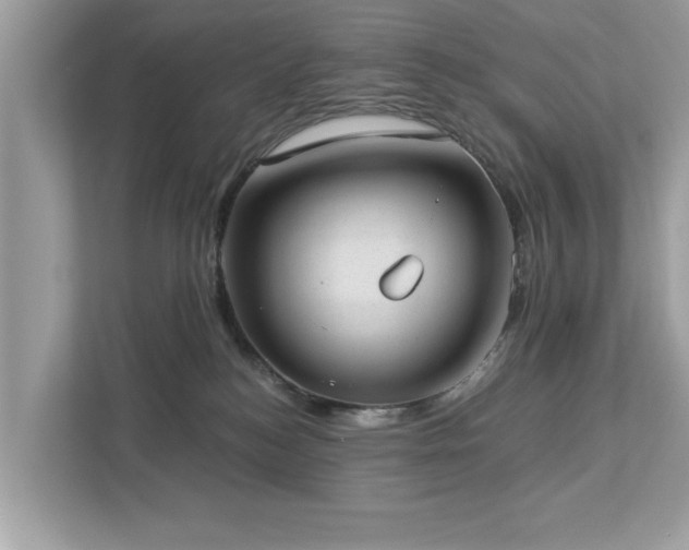 X0000112980184200908271150