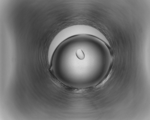 X0000112980186200908271150