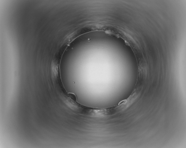 X0000112980188200908271150
