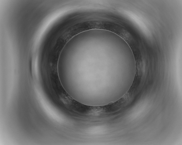 X0000112980189200908271150