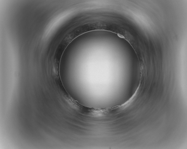X0000112980190200908271150