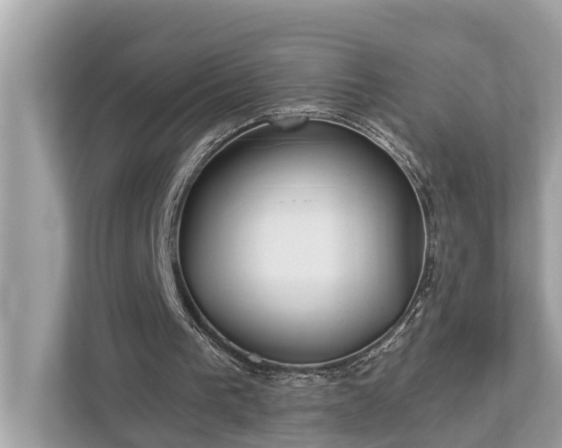 X0000112980193200908271150