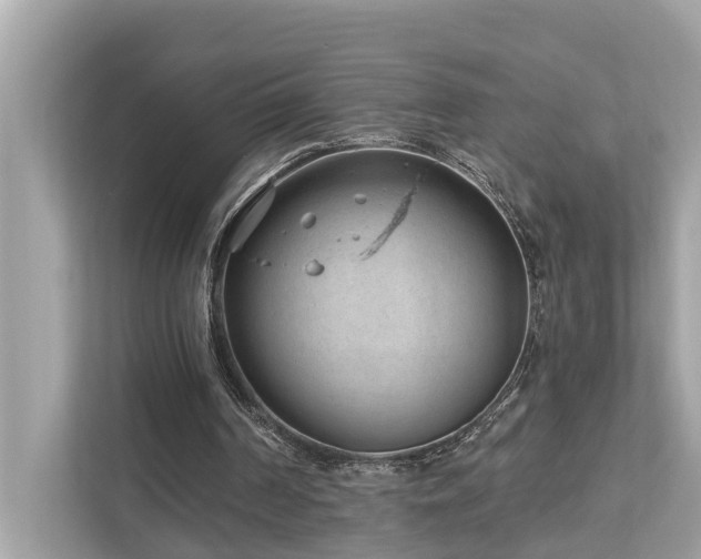 X0000112980194200908271150