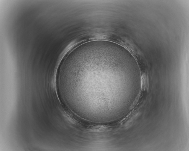 X0000112980195200908271150