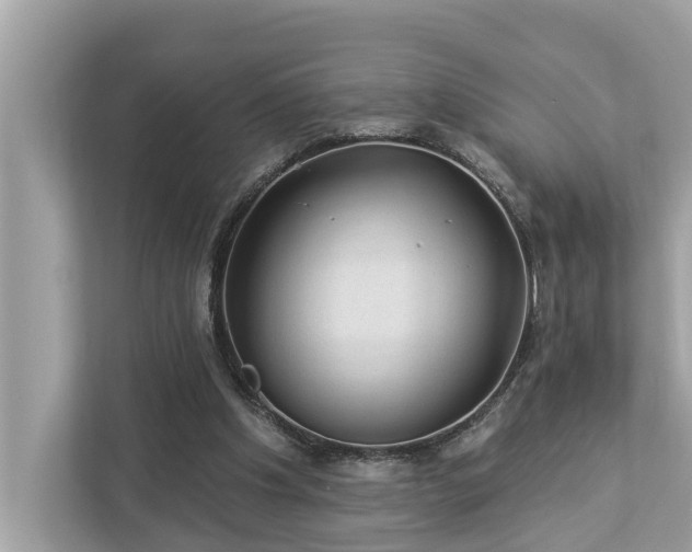X0000112980201200908271150
