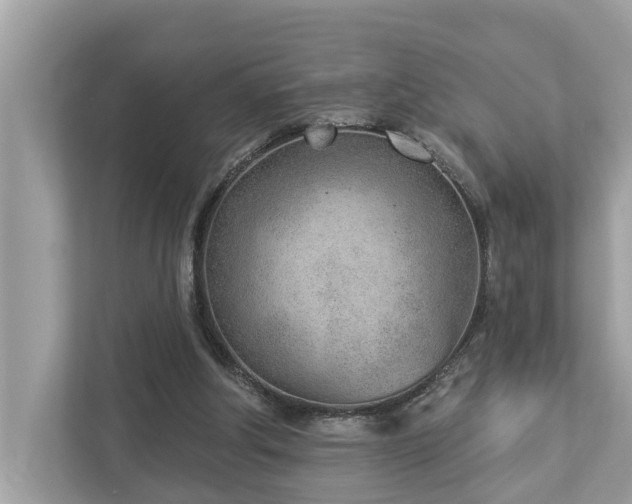X0000112980202200908271150