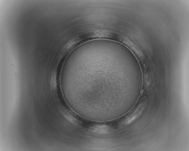 X0000112980203200908271150