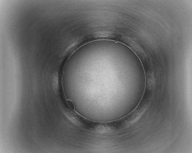 X0000112980207200908271150
