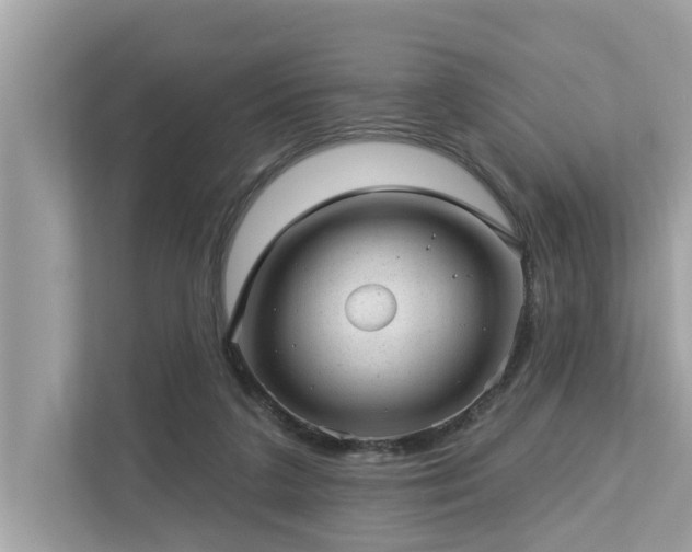 X0000112980211200908271150