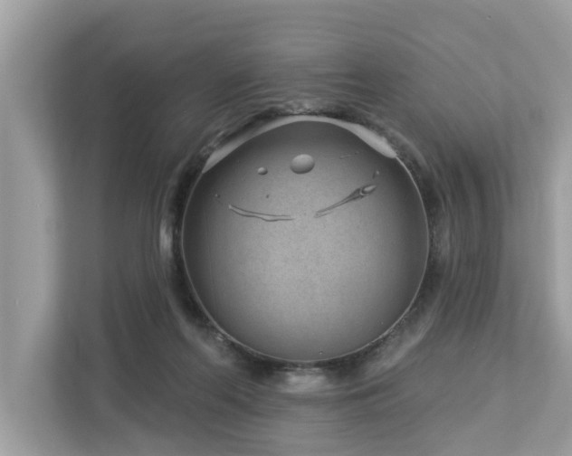 X0000112980214200908271150