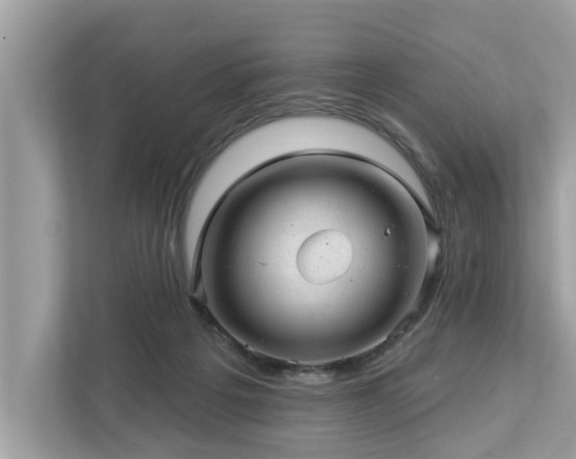 X0000112980217200908271150