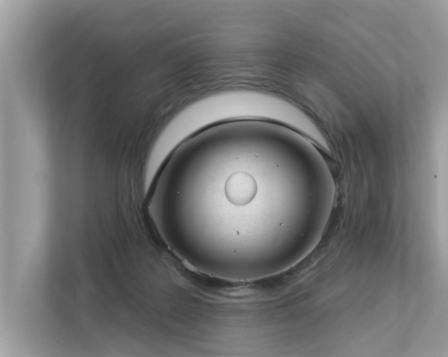 X0000112980219200908271150