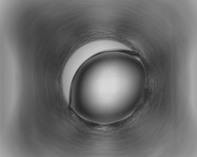 X0000112980221200908271149