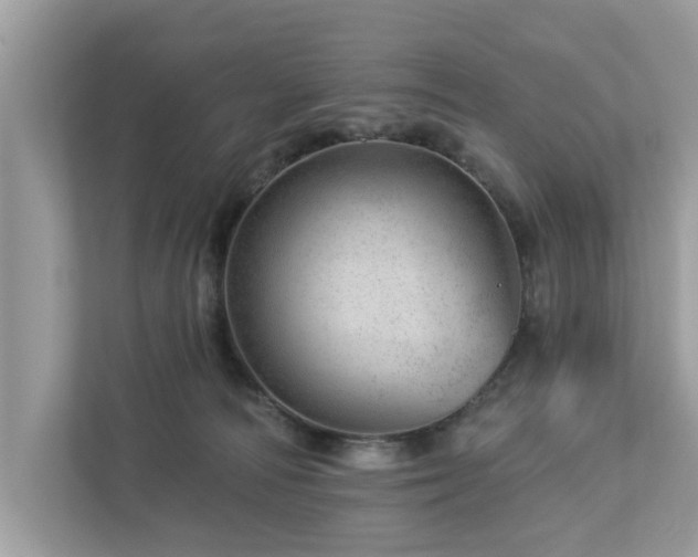 X0000112980226200908271149